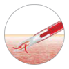 Polyshield - Image 3
